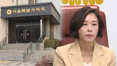 서울시의회, 김경 징계 내주 결정…제명할 듯