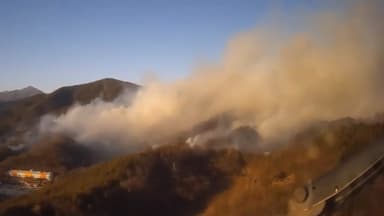 광양 산불에 국가소방동원령…강풍 속 진화 난항