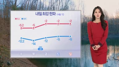[날씨] 내일 오늘보다 더 추워…서해안·제주 대설특보