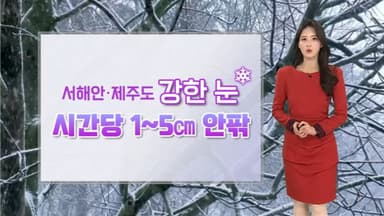 [날씨] 올 겨울 최강 한파…서해안·제주도 강한 눈