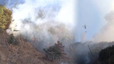 광양 산불 진화율 90%…주불 진화 '총력'