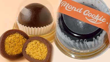 [뉴스초점] 헌혈 오픈런까지 만든 '두쫀쿠'…개발자 소감은