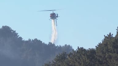 '전남 광양·부산 기장' 산불, 주불 진화 완료