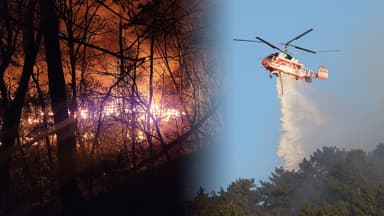 광양·부산 산불 진화…메마른 산림 '불씨 단속' 당부