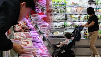 가격표에 '화들짝'…설 앞두고 장바구니 물가 잡힐까