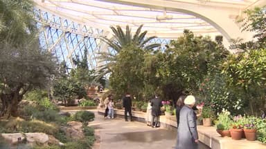 [시티&로컬] 서울식물원, 국가 희귀·특산식물 보전기관 지정 外