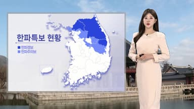 [날씨] 주말에도 한파…아침까지 곳곳 눈, 동쪽은 대기 건조