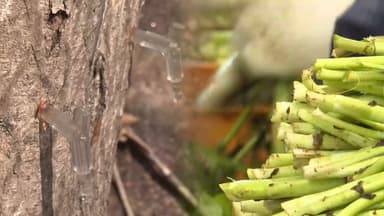 고령화·이상기후 속 '지역축제' 위기…"명맥 끊길라"