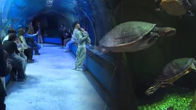 추위 피해 실내로…부산 아쿠아리움 '북적'