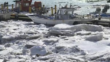 꽁꽁 언 서해 동막해변…'발 묶인' 어민들 피해도