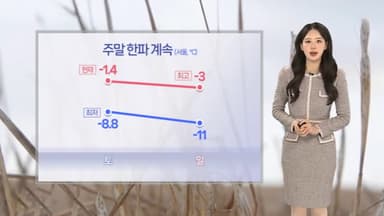 [날씨] 주말 한파 계속 이어져…동해안 대기 건조