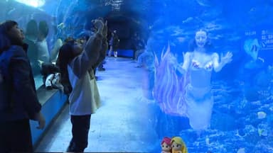 부산에도 '강추위'…주말맞은 아쿠아리움 '북적'
