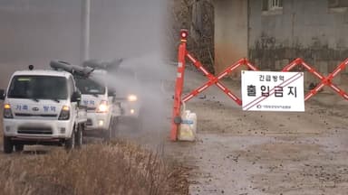 포천 돼지농장서 아프리카돼지열병 발생…총리 긴급 지시