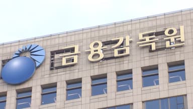 금감원, 특사경 확대 논란에 '자체 통제안' 제시…금융위와 갈등 양상