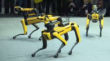 "한국, 제조 현장 로봇 밀집도 세계 1위"