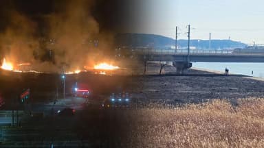 [사건사고] 울산 태화강 억새밭에 불낸 50대 남성 검거 外