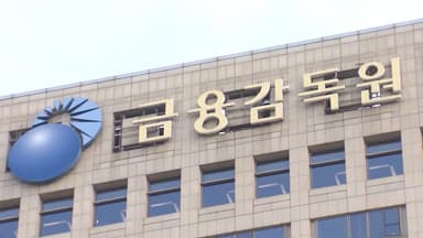 금감원 공공기관 지정 여부 이르면 29일 결론