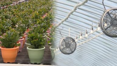 연일 '맹추위'…농민들 '냉해·난방비' 걱정에 주름살