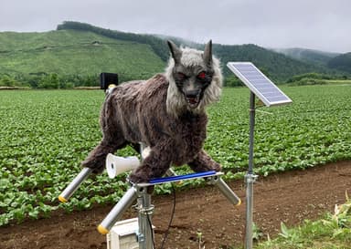 곰 출몰에 머리 아픈 日...믿을 건 '이것'의 정체는?