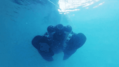 물속을 흐물흐물 움직이는 '가오리형' 수중 로봇