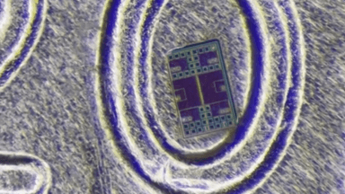 소금 알갱이보다 작다… 빛으로 움직이는 초소형 자율 로봇