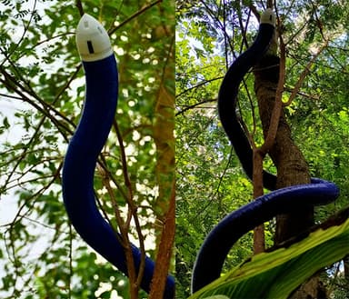 덩굴처럼 몸 늘려 이동한다… 신개념 '탐사 로봇' 화제