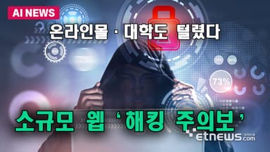온라인몰·대학도 털렸다…소규모 웹 '해킹 주의보'