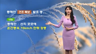 도로 빙판길 주의…동해안 건조함, 강풍 유의!