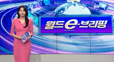 [월드 e 브리핑] EU, 탄소국경세 확대…세탁기·차 부품까지 적용