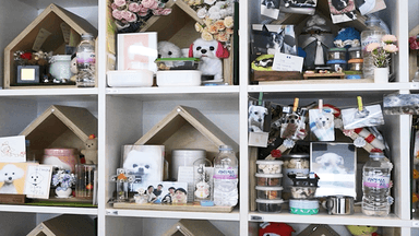 [오대기] '추모와 애도' 변화하는 반려동물 장례 문화