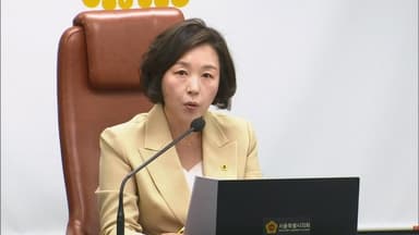 '공천헌금 1억 의혹' 김경 오늘 저녁 귀국…경찰 조사