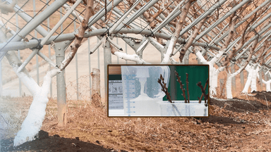 농촌진흥청, 과수 동해 예방 전용 페인트 개발