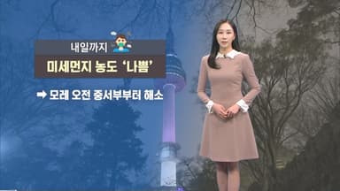 내일도 공기질 나쁨…오전까지 짙은 안개