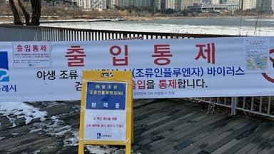 수원시 "원천저수지 큰기러기 폐사체서 고병원성 AI 검출"