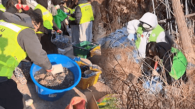 [OBS 인섬 뉴스] 영종 청소년, 겨울 자연 돌봄