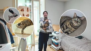 자차 있으면 경쟁률 낮은 임대주택 어때..."월세는 7만원"[집 나와라 뚝딱!]