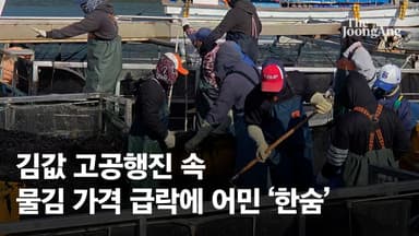 [르포]‘10억불 수출’ 김값은 뛰는데 산지선 폐기 고심”…물김값 급락에 어민 ‘한숨’[영상]