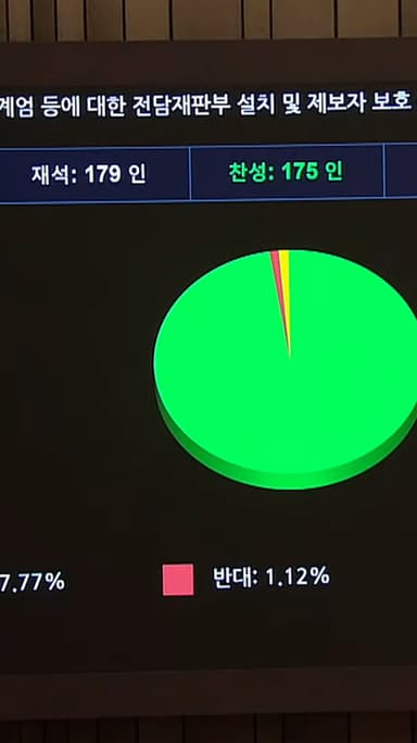위헌심판→재판지연→尹석방?…내란재판부법 통과 아이러니