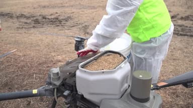 [영상]드론으로 철새 먹이준다…장항습지, 두루미도 나타나