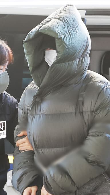 황하나 “출산한 아이 책임지려 귀국”…마약 혐의 부인에도 구속