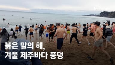 “아름다워 추운 줄도 몰라”...붉은 말의 해, 겨울 제주바다 풍덩