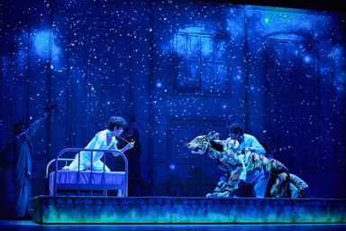 소설만큼 깊고 영화처럼 압도적… 공연, 장르 경계를 허물다