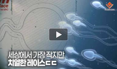 [동영상] 세상에서 가장 작지만 치열한 레이스