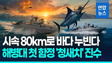 [영상] 'K-조선 기술집약' 해병대 첫 함정…고속전투주정 '청새치' 진수