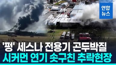 [영상] 멕시코서 '10명 탑승' 세스나 전용기 추락…최소 7명 사망