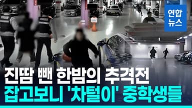 [영상] "사이드미러 안 접혔네"…아파트 주차장 차량 털이 표적