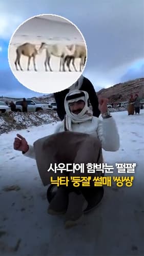 [쇼츠] '영하 4도' 사우디에 함박눈 '펄펄'…낙타 '둥절'·썰매 '씽씽'