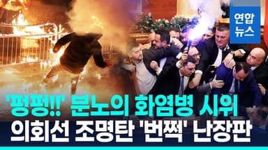 [영상] 알바니아 대규모 반정부 시위…"부패 부총리 감싼 내각 총사퇴"