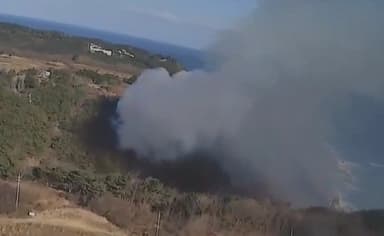 강릉 강동면 야산서 산불…50여분 만에 주불 진화(종합)