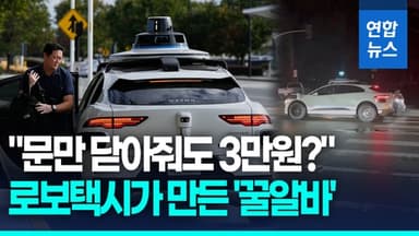 [영상] 사람 없이 달리는 로보택시 그런데…'문 닫아주면 3만원'